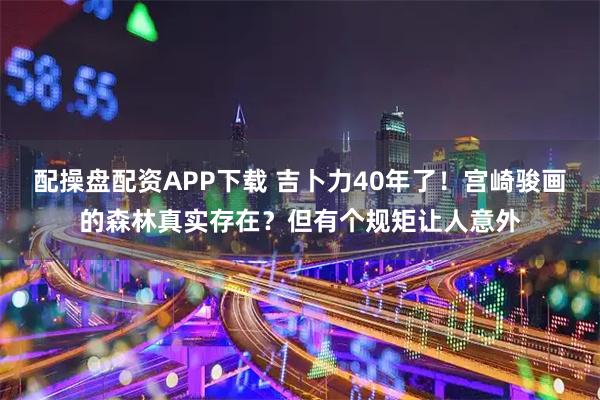 配操盘配资APP下载 吉卜力40年了！宫崎骏画的森林真实存在？但有个规矩让人意外