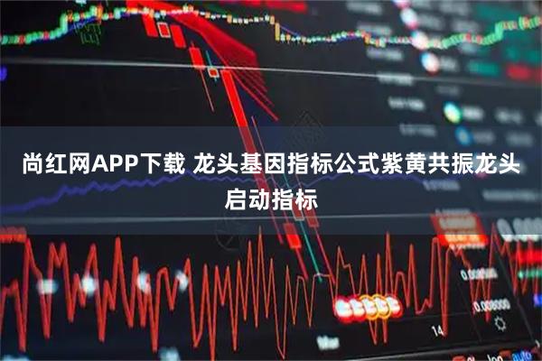 尚红网APP下载 龙头基因指标公式紫黄共振龙头启动指标