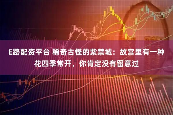 E路配资平台 稀奇古怪的紫禁城：故宫里有一种花四季常开，你肯定没有留意过