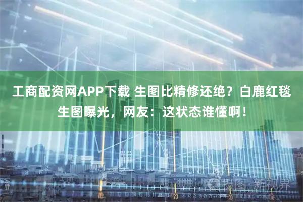 工商配资网APP下载 生图比精修还绝？白鹿红毯生图曝光，网友：这状态谁懂啊！